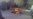 Tibetan Self-Immolates Near Qinghai Military Base