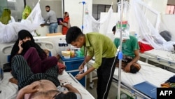 Seorang pasien demam berdarah sedang menerima perawatan di sebuah rumah sakit di Dhaka, 28 September 2024. (Foto: Munir Uz Zaman/AFP)