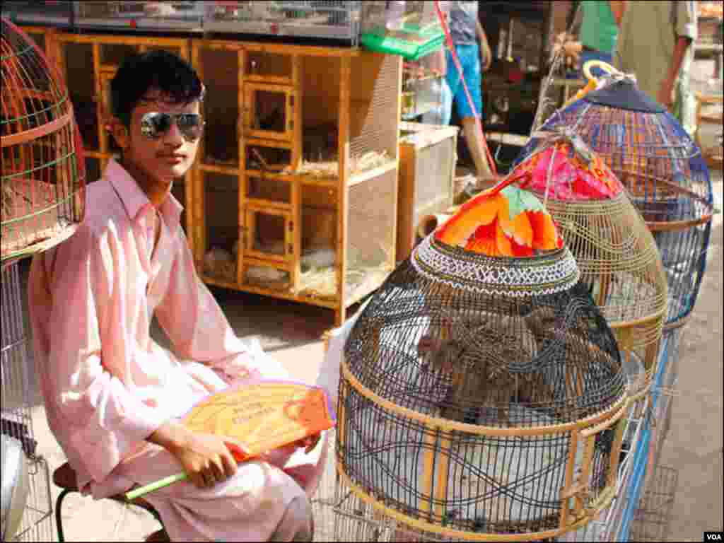 کراچی کی ایمپیریس مارکیٹ کے احاطے میں شہر کی مشہور پرندہ مارکیٹ میں ایک نوجوان پنجروں میں مختلف قسم کے پرندے فروخت کرتے ہوئے