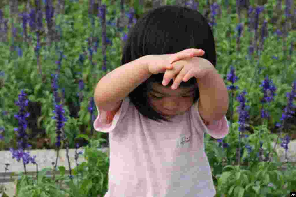 小女孩在花海前留影