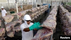 FILE - A worker spreads salted meat that will be dried and then packed at a plant of JBS S.A, the world's largest beef producer, in Santana de Parnaiba, Brazil, Dec. 19, 2017. 