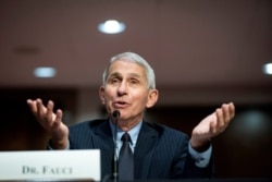 FILE - Dr. Anthony Fauci, director of the National Institute of Allergy and Infectious Diseases, speaks during a Senate Health, Education, Labor and Pensions Committee hearing in Washington, June 30, 2020.