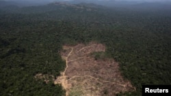An aerial view of a tract of Amazon jungle recently cleared by loggers and farmers near the city of Novo Progresso, Para state, Brazil, Sept. 22, 2013.