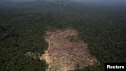 FILE - This aerial view shows a tract of Amazon jungle recently cleared by loggers and farmers near the city of Novo Progresso, Para state, Brazil, Sept. 22, 2013.