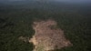Deforestation Is a Threat to the Amazon