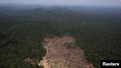 FILE - An aerial view of a tract of Amazon jungle recently cleared by loggers and farmers near the city of Novo Progresso, Para state, Brazil, Sept. 22, 2013.