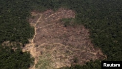 FILE - An aerial view of a tract of Amazon jungle cleared by loggers and farmers near Novo Progresso, Para state, Brazil, Sept. 22, 2013.
