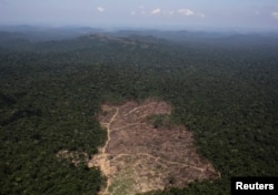FILE - An aerial view of a tract of Amazon jungle recently cleared by loggers and farmers near the city of Novo Progresso, Para state, Brazil, Sept. 22, 2013.