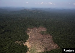 FILE: An aerial view of a tract of Amazon jungle recently cleared by loggers and farmers near the city of Novo Progresso, Para state, Brazil, Sept. 22, 2013.