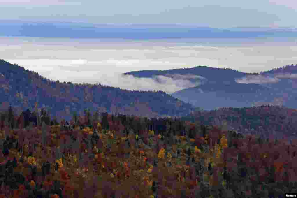 프랑스 동부 알사스주 림바쥐의 보주 산맥이 가을색으로 물들었다. 