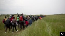 Migrants and refugees who were camped in Idomeni walk through fields in their attempt to cross the Greek-Macedonian border near the village of Evzoni, May 12, 2016. 