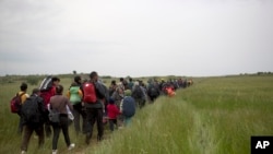 移民和难民5月12日离开在希臘邊界小鎮伊多梅尼（Idomeni）的临时营地，徒步通过田野，试图越过埃夫卓尼村（EVZONI）附近的希腊与马其顿边境。
