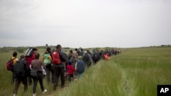 Migrants and refugees who were camped in Idomeni walk through fields in their attempt to cross the Greek-Macedonian border near the village of Evzoni, May 12, 2016. 