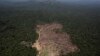 US, Norway to Fight Rapidly Progressing World Deforestation