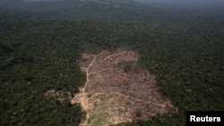 FILE - An aerial view of a tract of Amazon jungle cleared by loggers and farmers near Novo Progresso, Para state, Brazil.