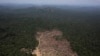Brazil to Restore Huge Tract of Degraded Land in Largest Pledge of its Kind