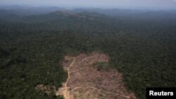 Vista aérea de una parte de la selva amazónica recientemente talada, cerca de la ciudad de Novo Progresso, estado Para, Brasil, 