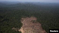 An aerial view of a tract of Amazon jungle recently cleared by loggers and farmers near the city of Novo Progresso, Para state, Brazil, Sept. 22, 2013.