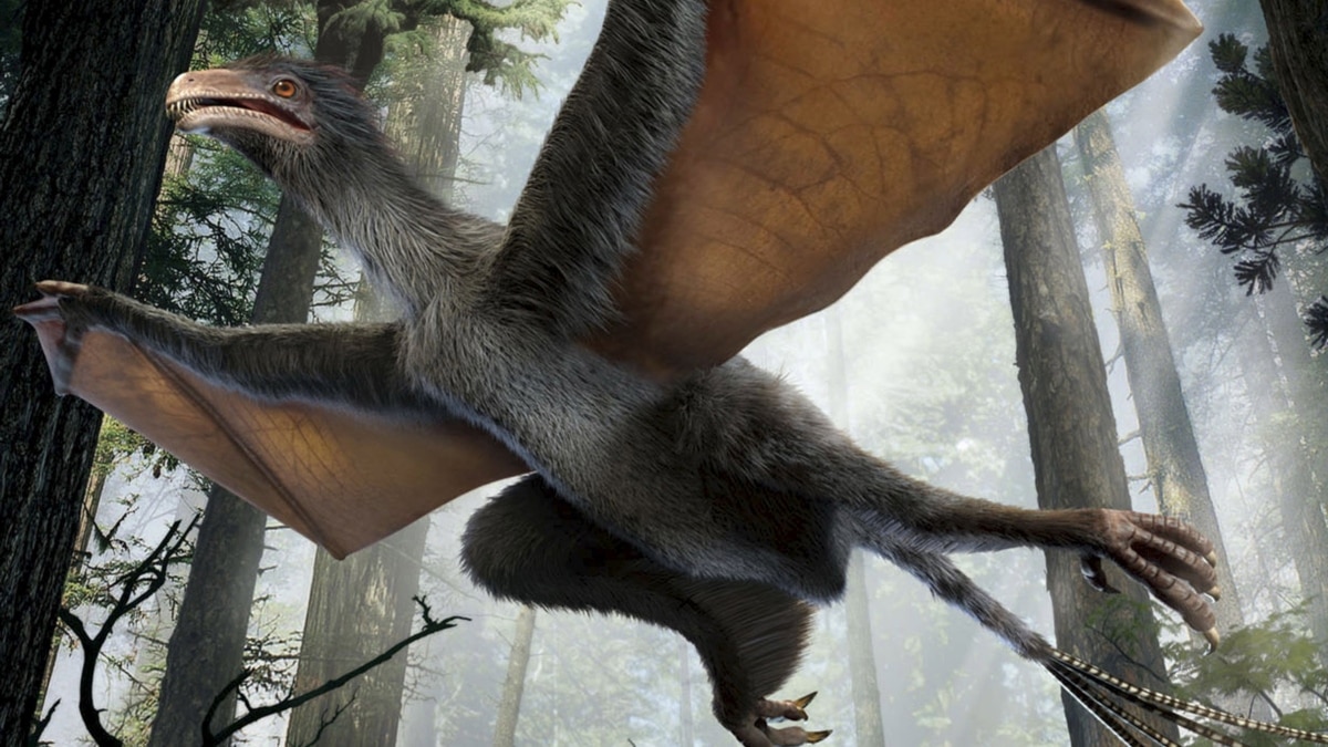 Pigeon-Sized Dinosaur, Precursor to Birds, Had Wings Like Bat