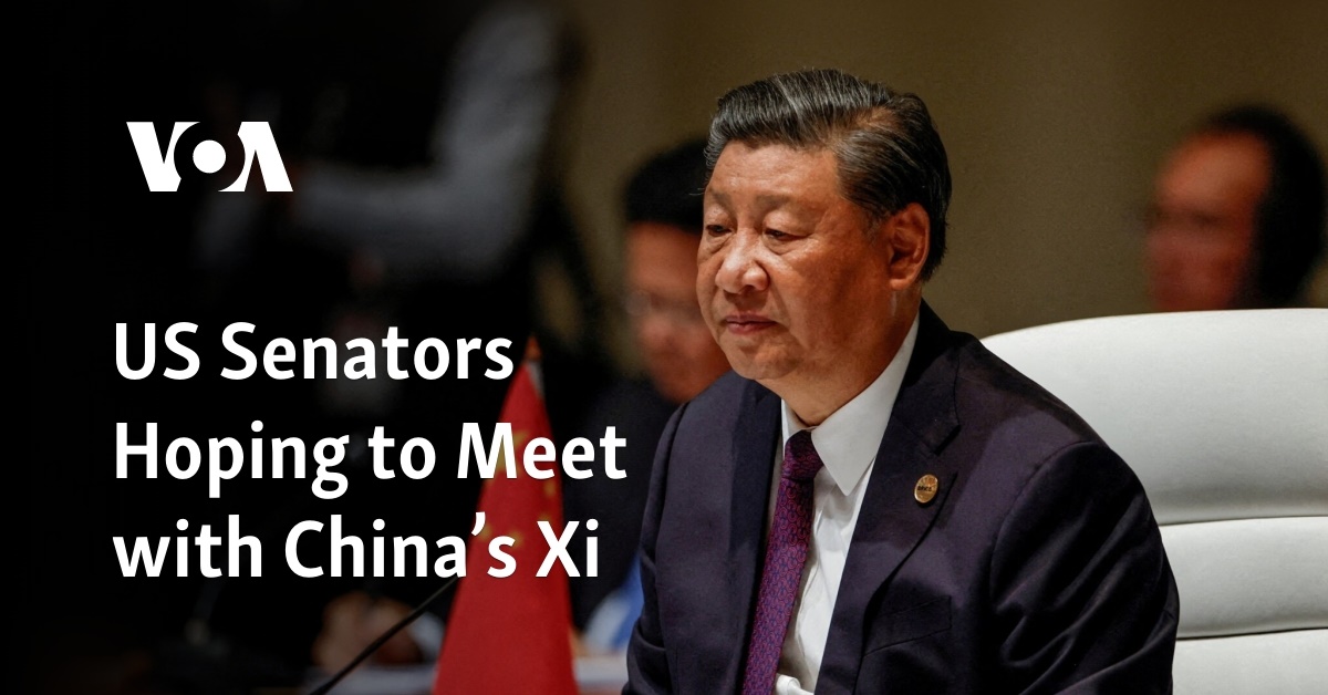 US Senators Hoping to Meet with China’s Xi