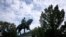 A statue of Confederate Gen. Robert E. Lee is shown in Market Street Park July 9, 2021, in Charlottesville, Virginia.