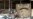 Iraq Requests Outside Help After ISIL Seizes Nuclear Materials