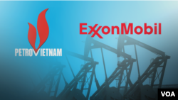 Mỏ khí đốt Cá Voi Xanh do ExxonMobil hợp tác khai thác với Việt Nam sẽ hoàn tất vào năm 2019, theo Chủ tịch Công ty Phát triển ExxonMobil Liam Mallon.