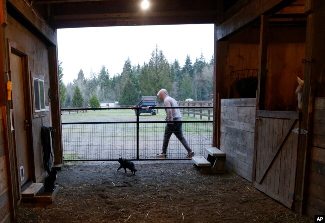 FILE - Robel, an 18-year-old tech addict from California, leaves a barn after helping feed animals at the Rise Up Ranch outside rural Carnation, Wash., Dec. 10, 2018.