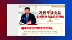 媒体观察：中国宪法日，党宣出头天，访民被拘时