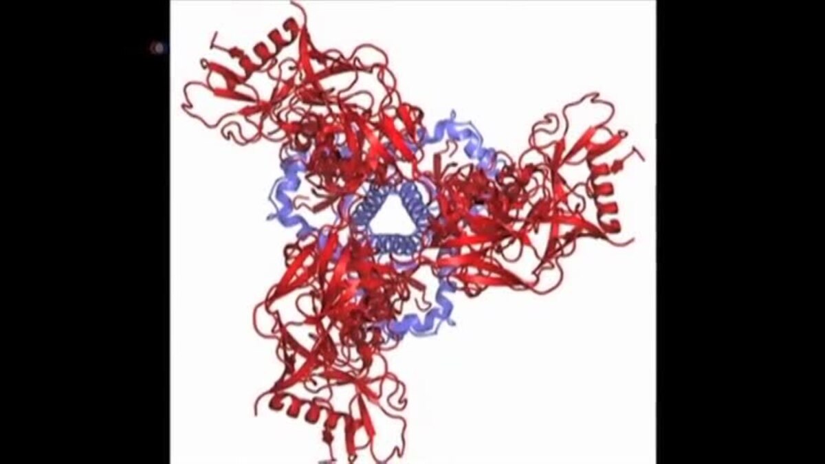 Танец спида. HIV Fusion.