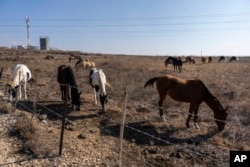 Israel Trump's Settlement