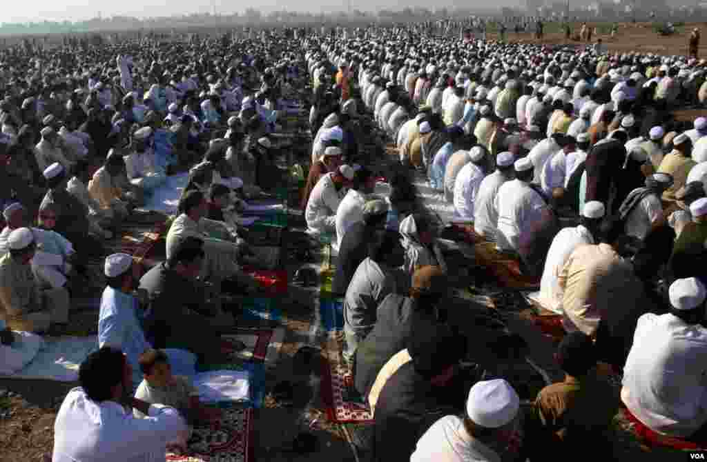 Cejn li Afganistanê