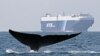 Seekor paus biru terlihat berada di dekat kapal kargo di Selat Santa Barbara di lepas pantai California. (Foto: AP/Cascadia, John Calambokidis)