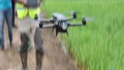 Farmers in Ghana Using Drones for Pest, Disease Surveillance 