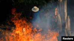 El Amazonas arde y voces del mundo se levantan para salvar el pulmón del planeta