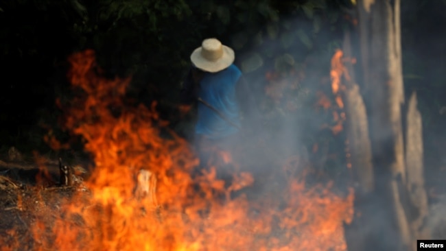 El Amazonas arde y voces del mundo se levantan para salvar el pulmón del planeta