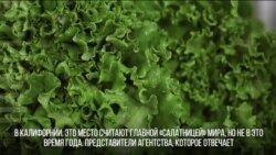 Опасный салат «романо»