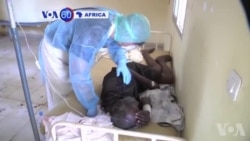 Manchetes Africanas 9 de Abril