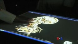 သွားဘက်ဆိုင်ရာသုံးစက်ရုပ်