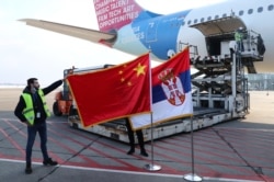 FILE - A man holds China's flag next to Serbia's flag as a plane transporting one million doses of Sinopharm's China National Biotec Group vaccines for the coronavirus arrives at Nikola Tesla Airport in Belgrade, Serbia, Jan. 16, 2021.
