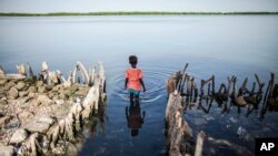 FILE - A young girl wades in the water outside of a home partially destroyed by rising sea levels in Diamniadio Island, Saloum Delta in Senegal, Oct. 18, 2015. 