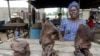 Ebola: Is Bushmeat Behind the Outbreak?