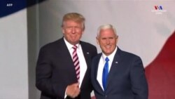 Փոխնախագահ Մայք Փենսի քաղաքական դիմագիծը