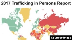 new trafficking image