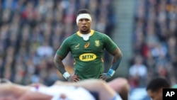 FILE - South Africa's Elton Jantjies watches on players go down in a scrum during the rugby union international match between Scotland and South Africa at the Murrayfield stadium in Edinburgh, Scotland, November 13, 2021.