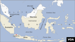 Kalimantan Borneo