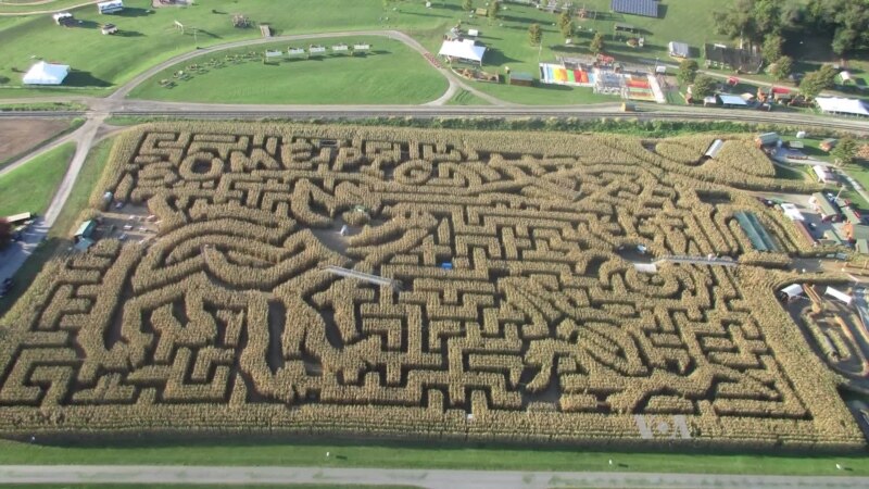 An Amazing Corn Maze in Pennsylvania
