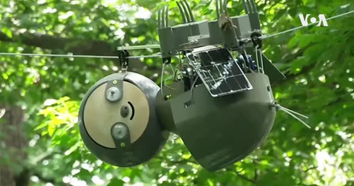 Slothbot หุ่นยนต์สโลว์ไลฟ์ช่วยให้มนุษย์เข้าใจธรรมชาติมากขึ้น