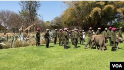 Workers at the Zimbabwe wildlife rescue center Wild is Life are seen outside Harare, Sept. 23, 2020, dancing in the Jerusalema Dance Challenge, a South African internet craze that has gripped the continent (Columbus Mavhunga/VOA)