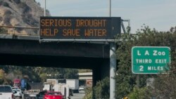 Los Angeles to Fine Illegal Watering